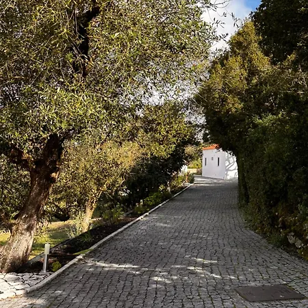 Mountain View 2 Bedroom Alcobaca
