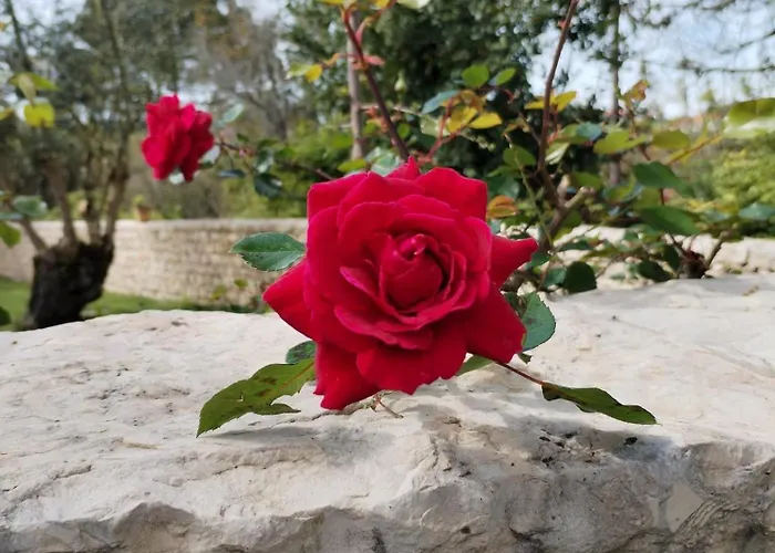 Mountain View 2 Bedroom