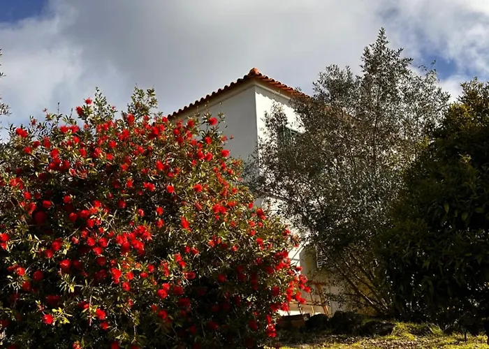 Mountain View 2 Bedroom בית נופש *