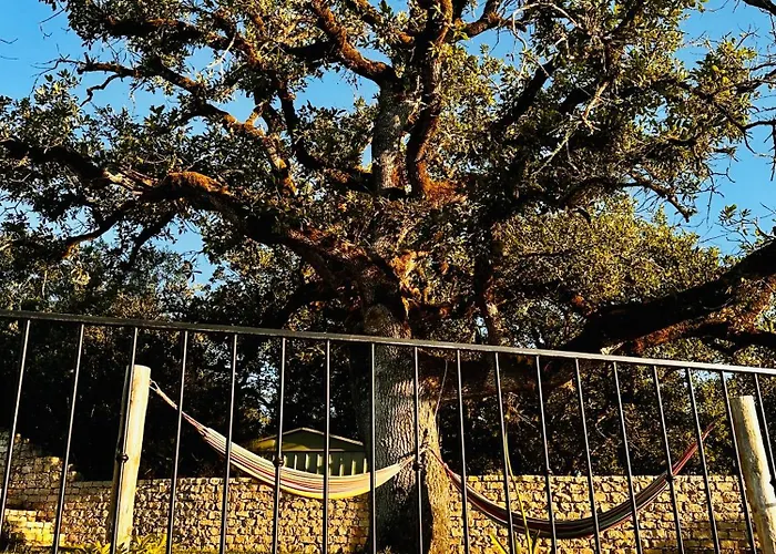 Mountain View 2 Bedroom *