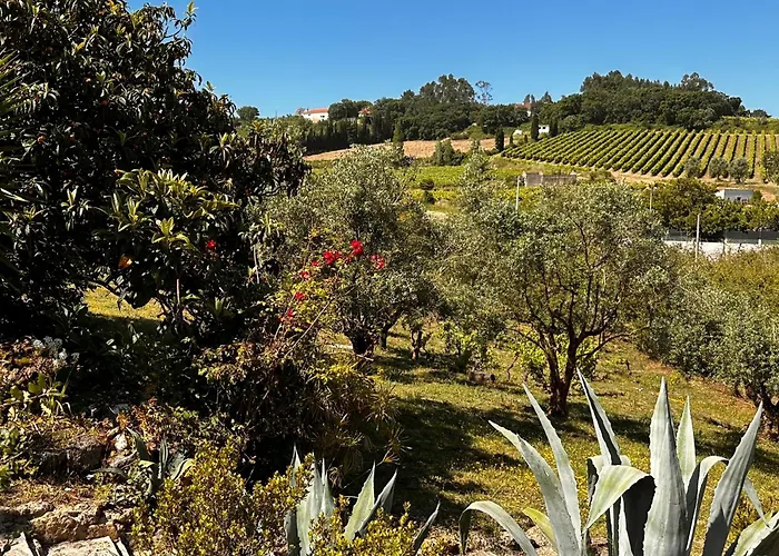 Mountain View 2 Bedroom בית נופש